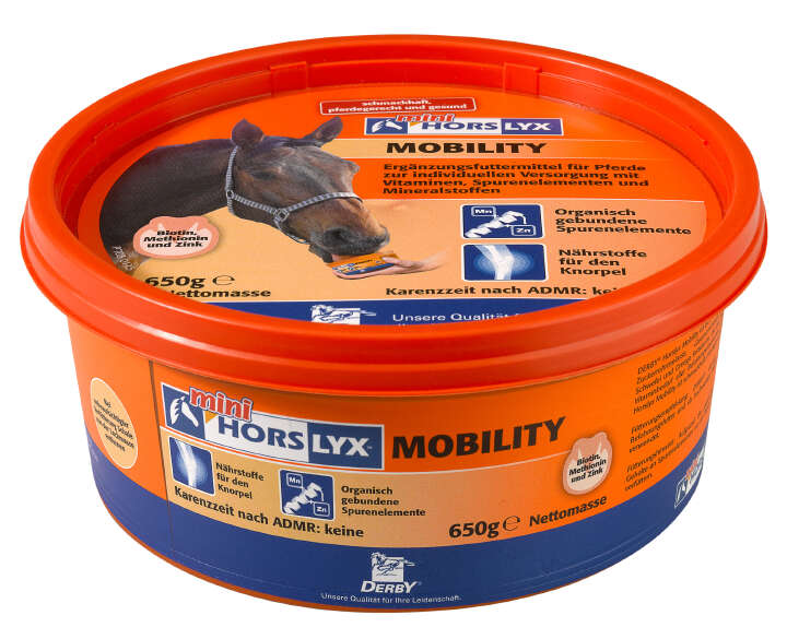HORSLYX Mobility HORSLYX Mobility